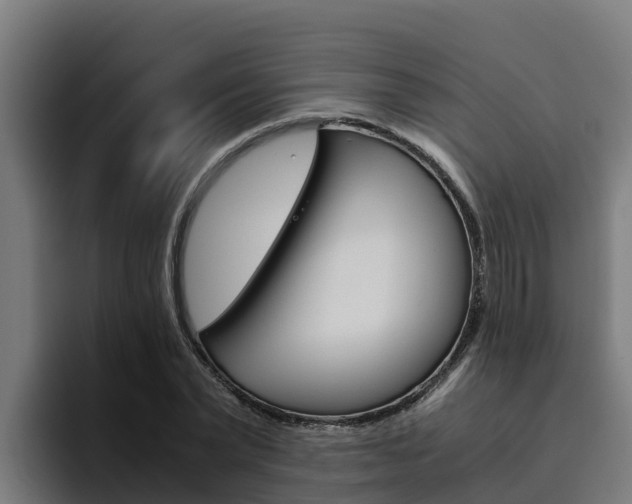 X0000094780783200711160849