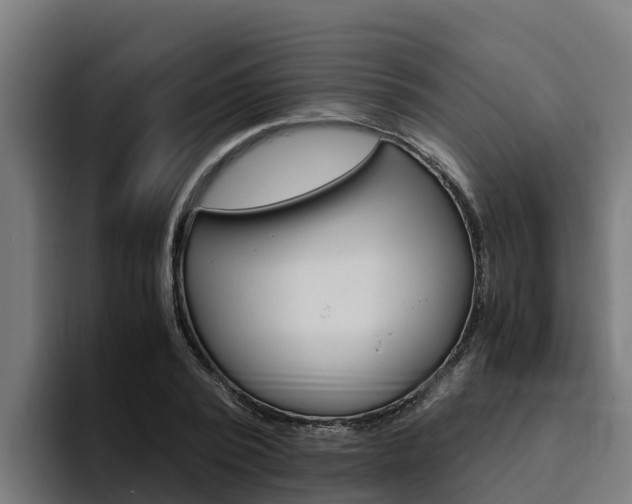 X0000094780784200711160849