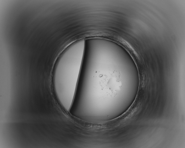 X0000094780786200711160849