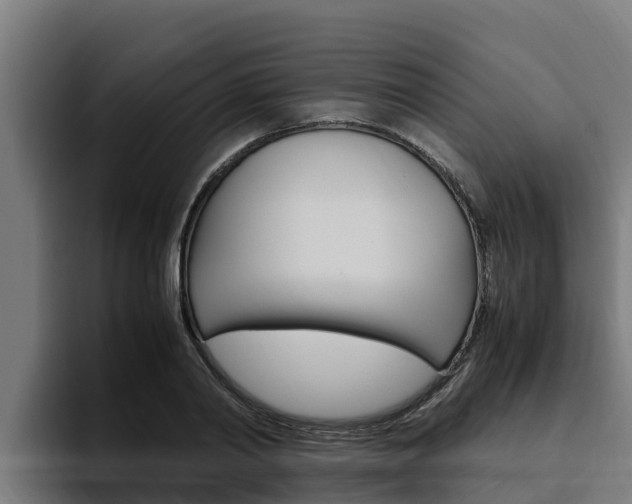X0000094780790200711160849