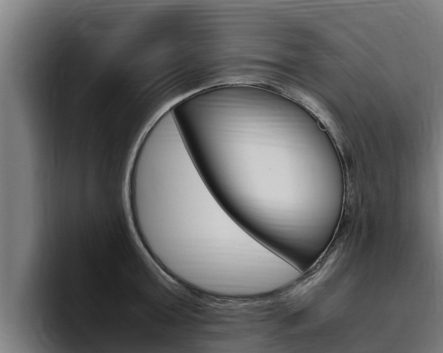 X0000094780803200711160849