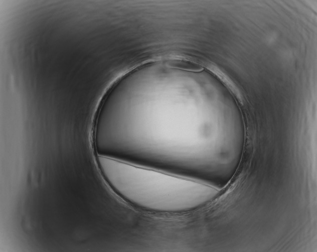 X0000094780805200711160849