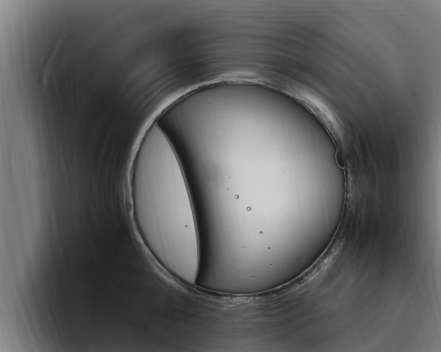 X0000094780808200711160849