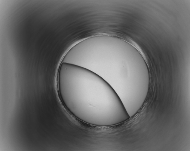 X0000094780811200711160849
