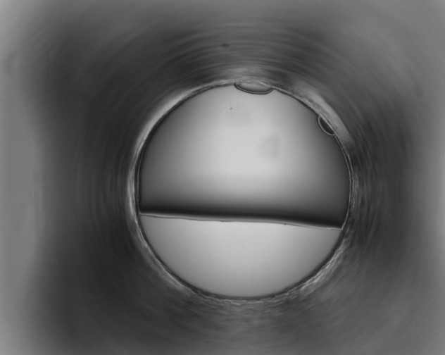 X0000094780812200711160849