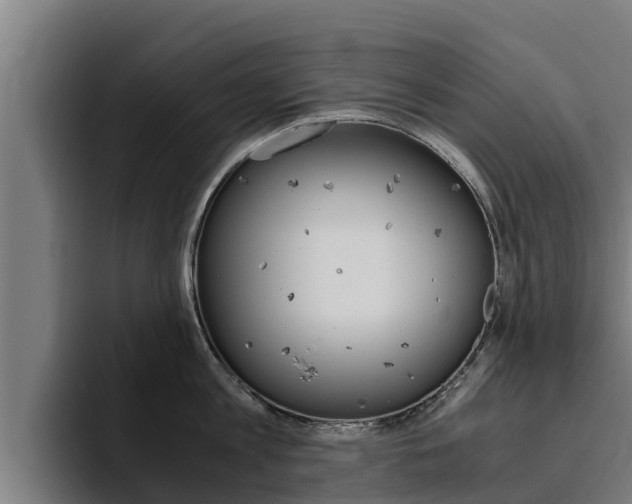 X0000094780813200711160849