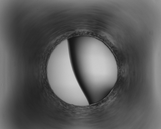 X0000094780821200711160848