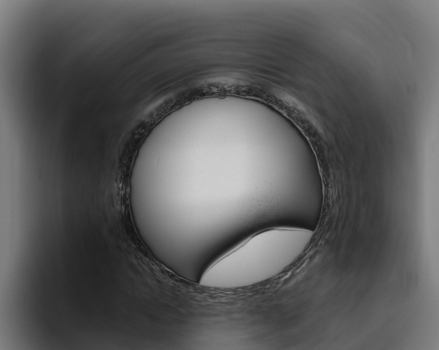 X0000094780822200711160848