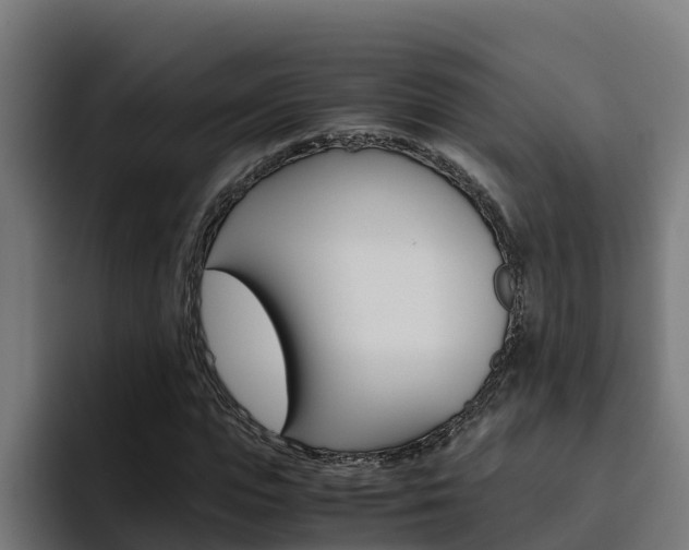 X0000094780823200711160848