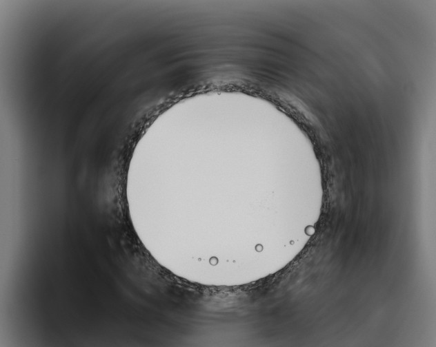 X0000094780824200711160848