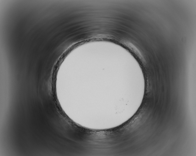X0000094780828200711160848