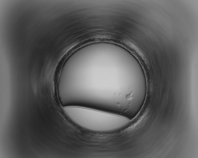 X0000094780829200711160848