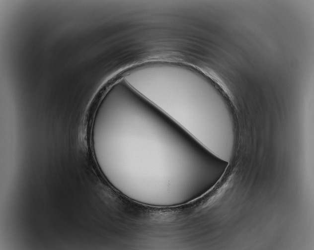 X0000094780830200711160848