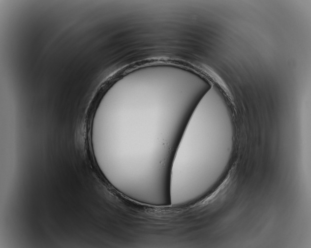 X0000094780831200711160848