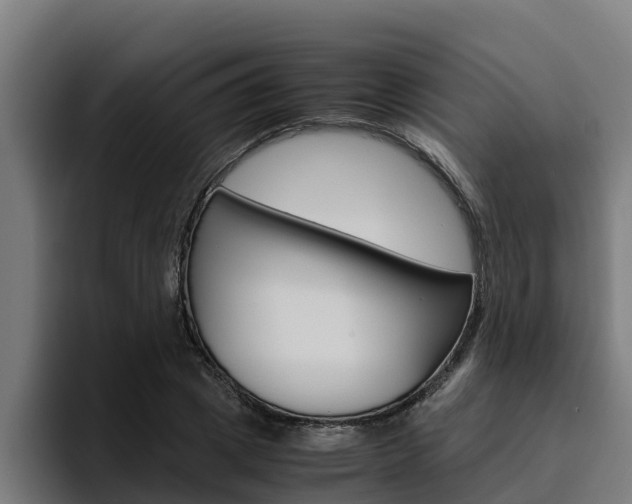 X0000094780833200711160848