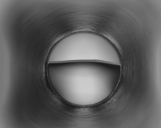 X0000094780834200711160848