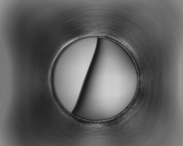 X0000094780838200711160848