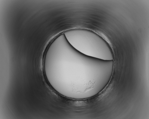 X0000094780839200711160848