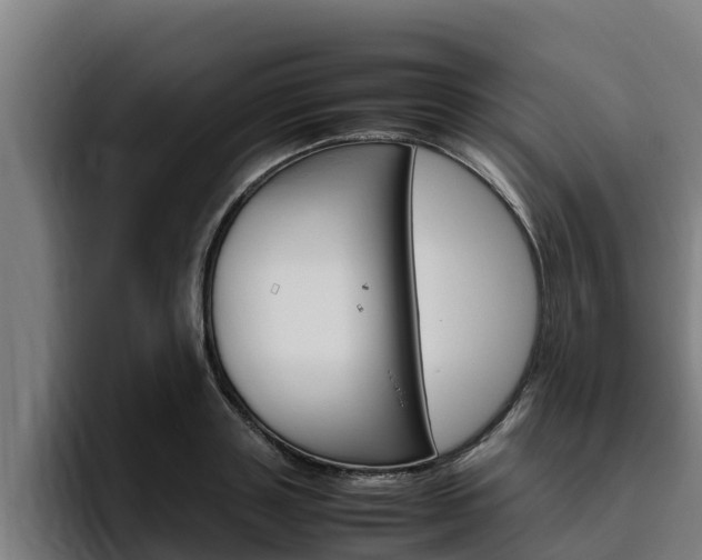 X0000094780843200711160849