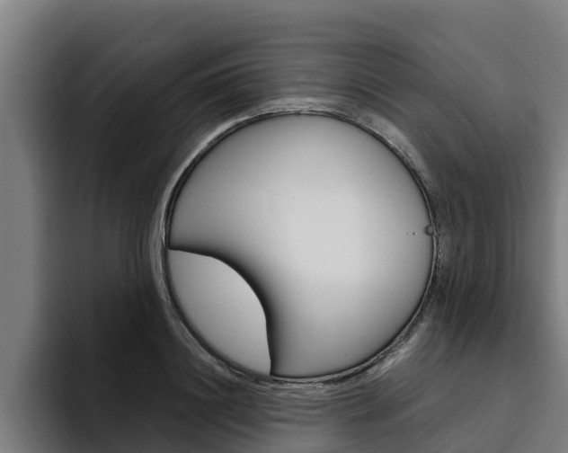 X0000094780844200711160849
