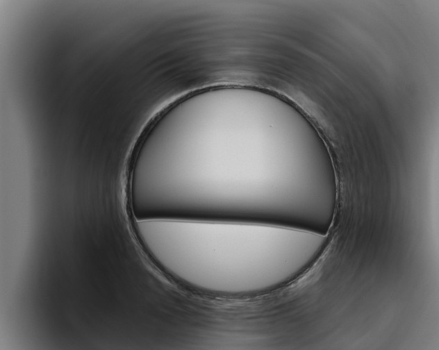 X0000094780846200711160849