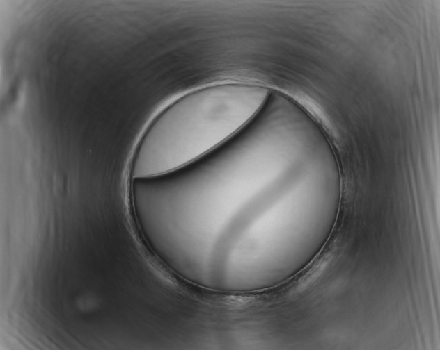 X0000094780854200711160849
