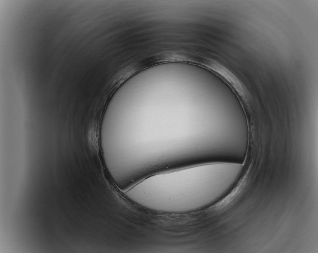 X0000094780857200711160849