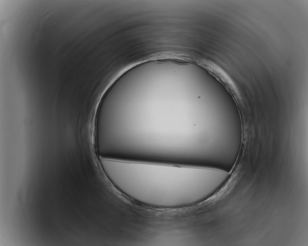 X0000094780860200711160849
