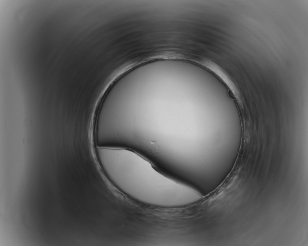 X0000094780861200711160849