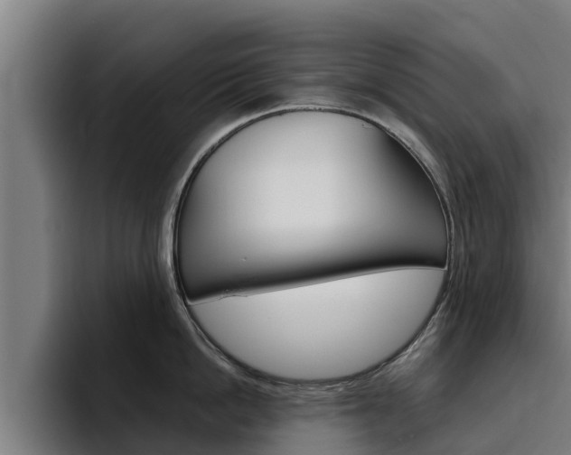 X0000094780862200711160849