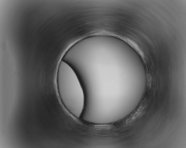 X0000094780863200711160849