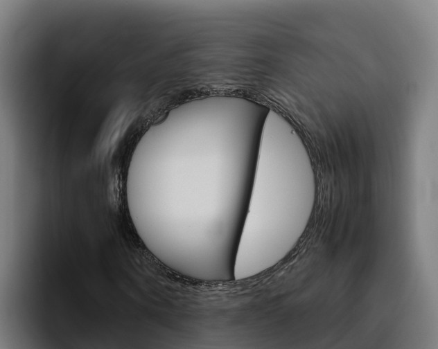 X0000094780866200711160848