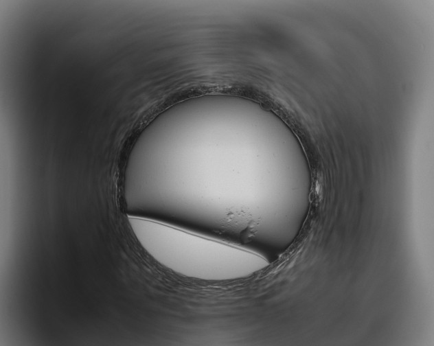 X0000094780867200711160848