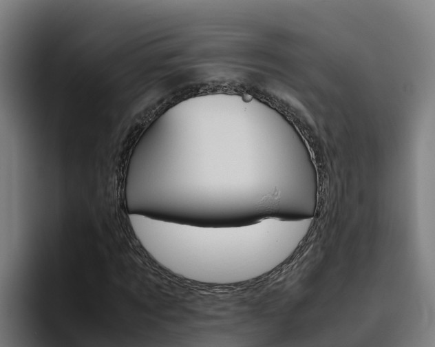 X0000094780869200711160848