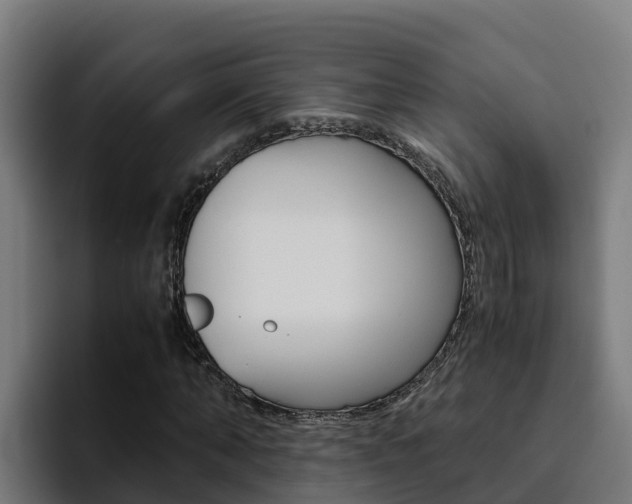 X0000094780870200711160848