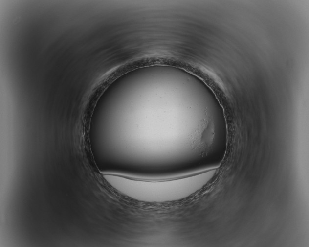 X0000094780872200711160848