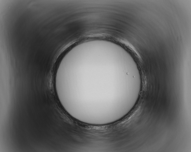 X0000094780874200711160848