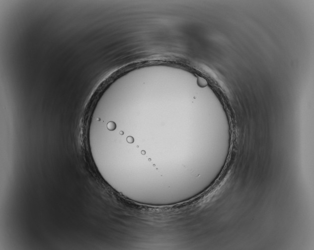 X0000094780875200711160848
