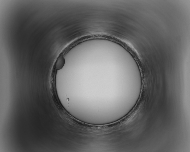 X0000094780879200711160848