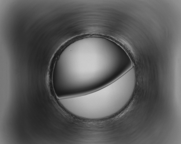 X0000094780880200711160848