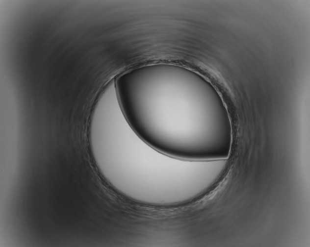 X0000094780881200711160848