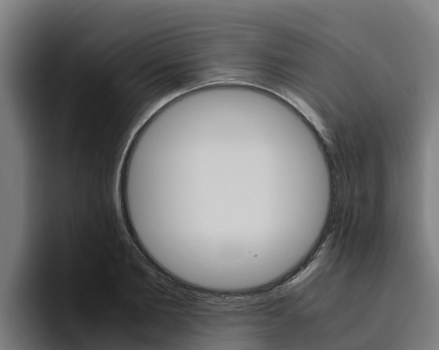 X0000094780885200711160848
