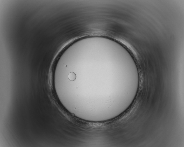 X0000094780886200711160848