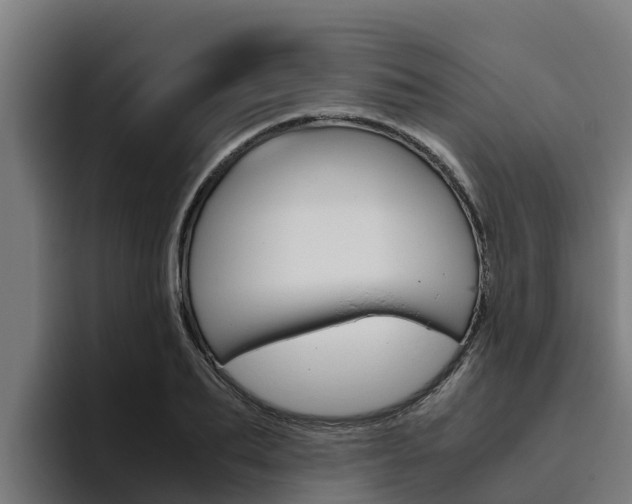 X0000094780887200711160848