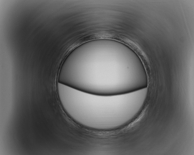 X0000094780889200711160848