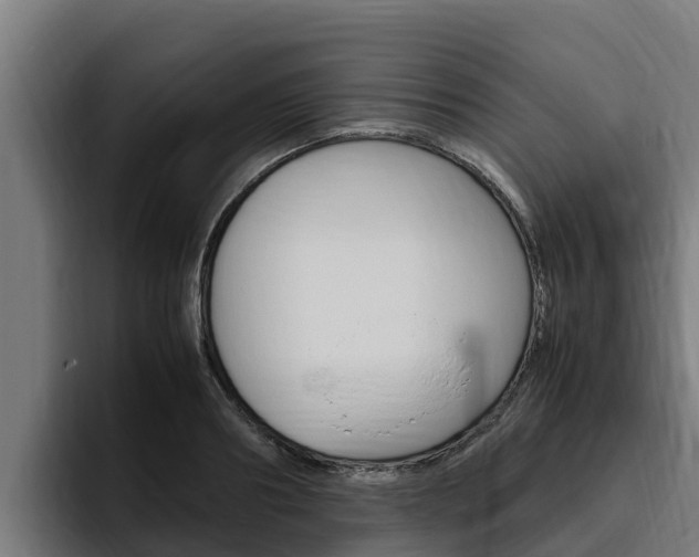 X0000094780890200711160848
