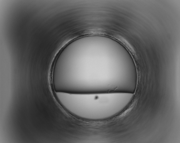 X0000094780893200711160848