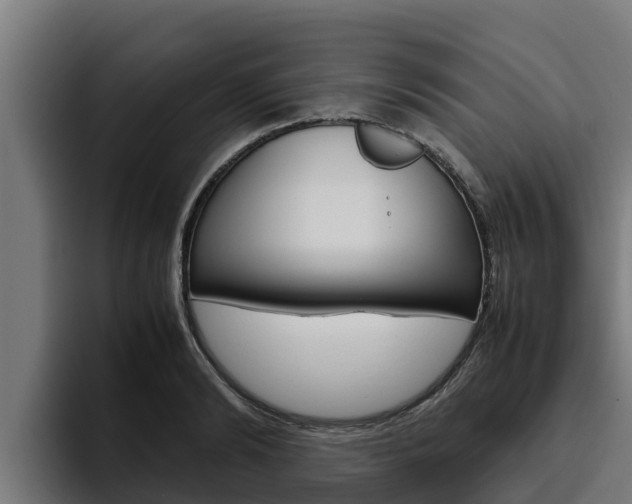 X0000094780894200711160848