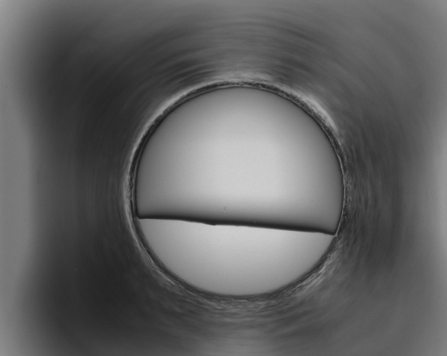 X0000094780895200711160848