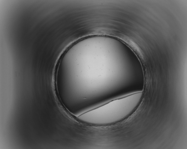 X0000094780896200711160848